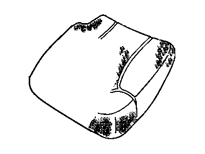 GM 12470009 Pad,Rear Seat Cushion