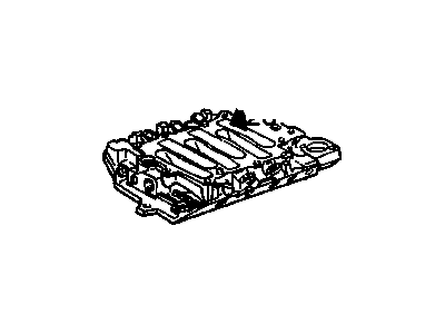 GM 24502301 Manifold Assembly, Lower Intake