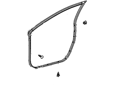 GM 19184152 Weatherstrip,Front Side Door