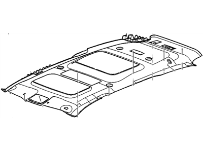 GM 22812820 Panel Assembly, Headlining Trim *Titanium