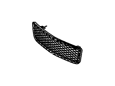 GM 88975669 Grille,Radiator Lower *Black