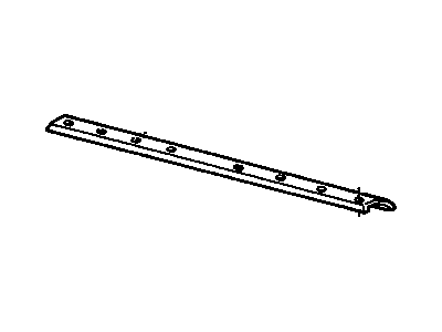 GM 459847 Plate, Floor Panel Rear Scuff (Vacuum Deposited Metal (Al) Destroyed)