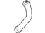 GM 95167690 Radiator Outlet Hose