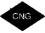 GM 52368593 Label, Cng