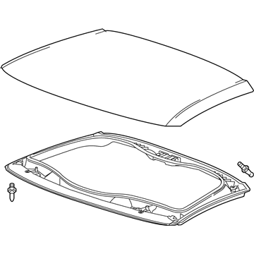 GM 23412888 Panel Assembly, Roof Lift Off(Exposed Carb Fib)