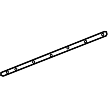 GM 23253593 Weatherstrip Assembly, Front Side Door Lower Auxiliary