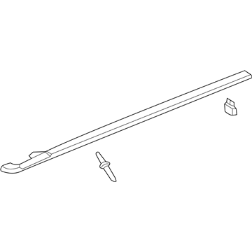 GM 15845019 Molding Assembly, Body Side Lower Rear *Carbon Fiber