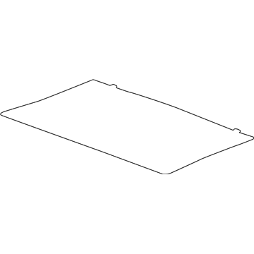 GM 95983908 Carpet Assembly, Load Floor