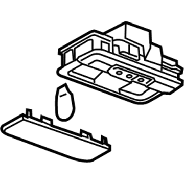 GM 23130969 Lamp Assembly, Center Courtesy *Platinum