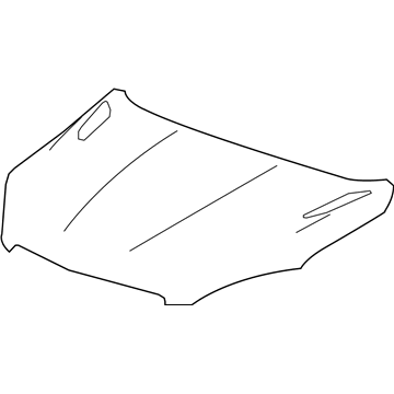 GM 95143268 Hood Asm