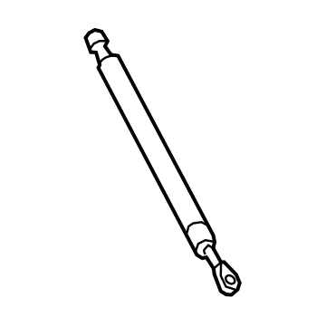 GM 42439811 Strut Assembly, L/Gate