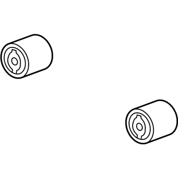 GM 20762354 Bushing, Differential Carrier