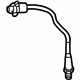 GM 55565000 Sensor,Heated Oxygen(Position 2)