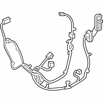 GM 42845562 HARNESS ASM-RR S/D DR WRG