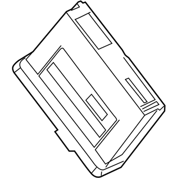 GM 13523223 Module Assembly, Keyless Entry Control