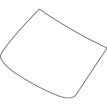 GM 19317639 Windshield Asm