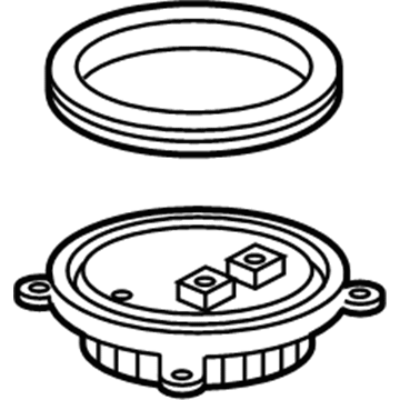 Chevrolet Hid Bulb Ballast - 22941301