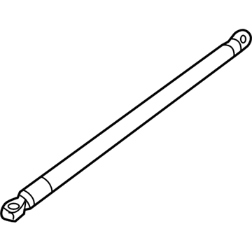 GM 20998191 Strut Assembly, Hood