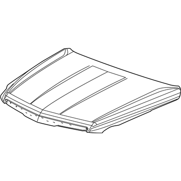 GM 84348416 Hood Assembly, .