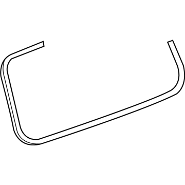 GM 25949077 Weatherstrip Assembly, Lift Gate Window