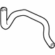 GM 15757333 Hose Assembly, Radiator Inlet *Clean Drawing