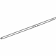 GM 25911895 Weatherstrip Assembly, Front & Rear Side Door Lower