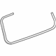 GM 25949077 Weatherstrip Assembly, Lift Gate Window